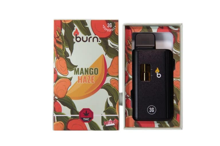 3 Gram Burn Disposable Vapes – Mango Haze (Sativa) (3 Gram)
