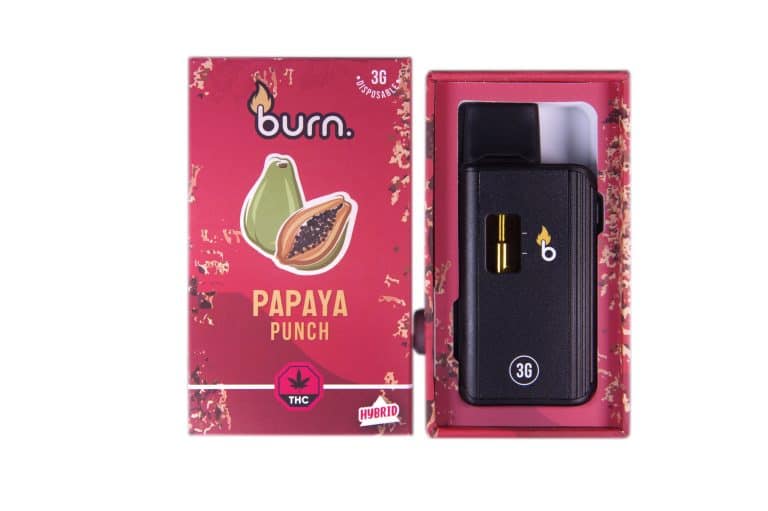 3 Gram Burn Disposable Vapes – Papaya Punch (Hybrid) (3 Gram)