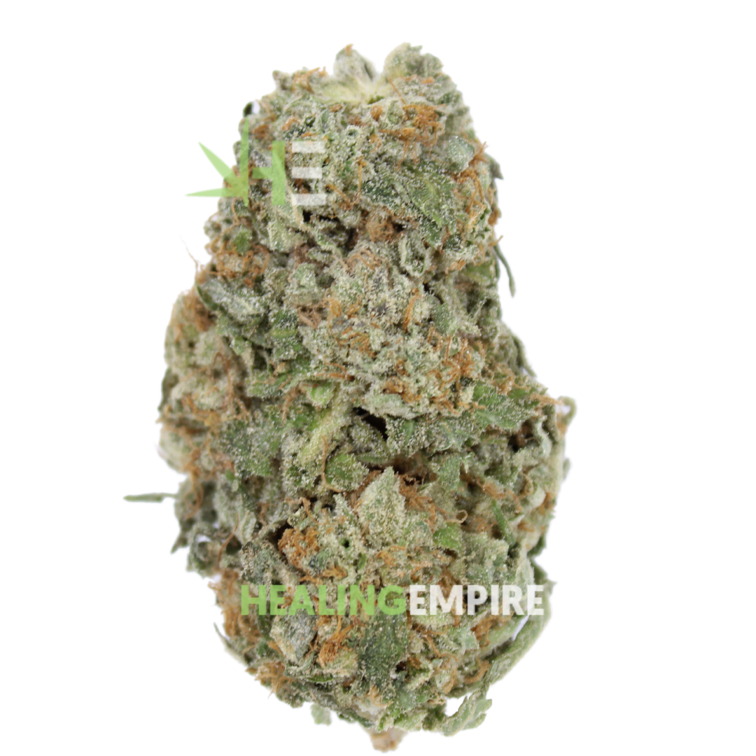 A Super Mario Greenhouse