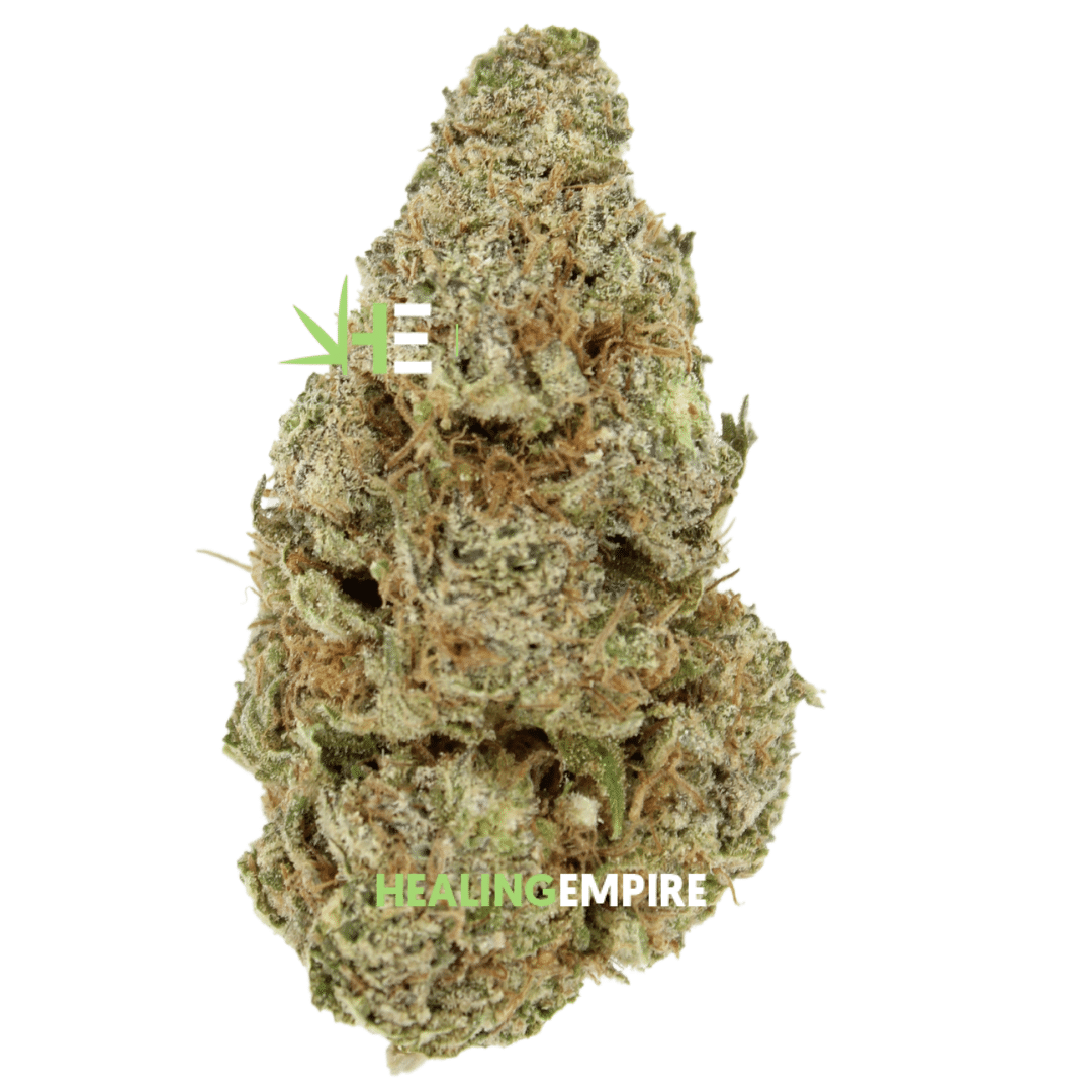 AA Northern Lights Bulk