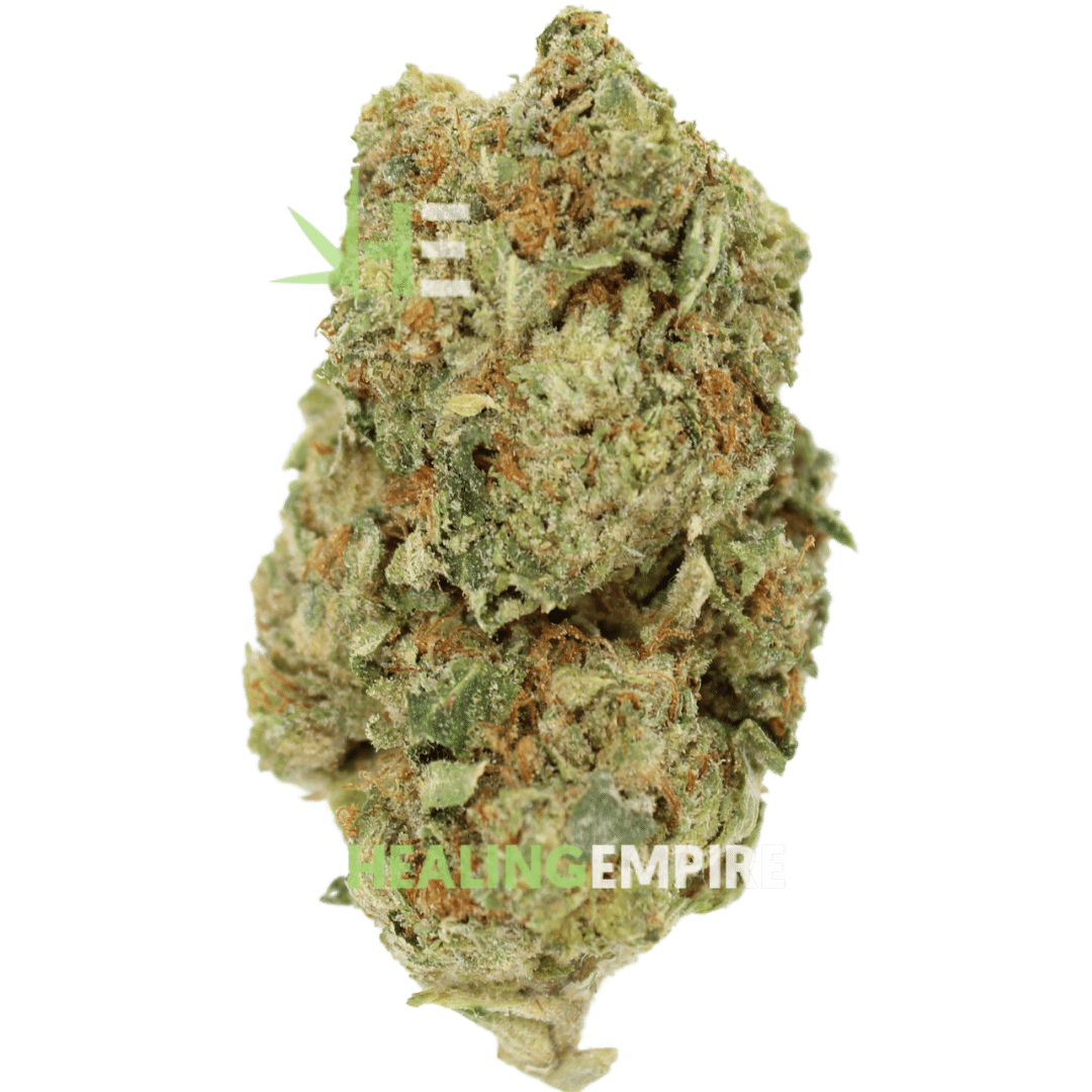 Gorilla Glue #4 - BULK