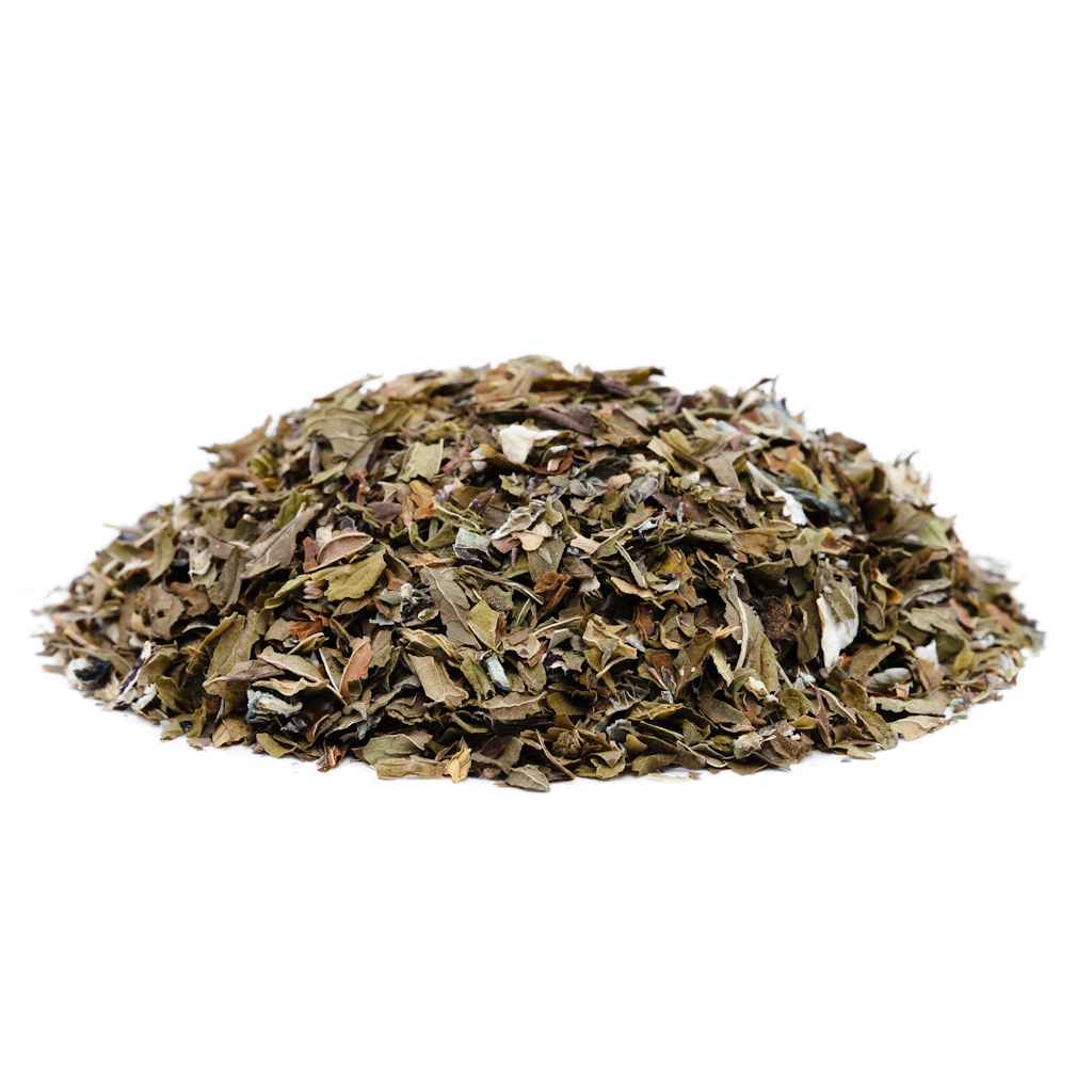 ROOM 920 MINT TEA - Image 2