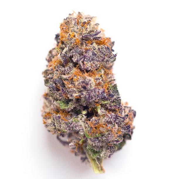 Animal Mints Cookies