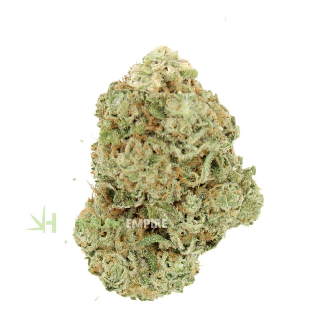 AAAA Truffle cake By Kootney Exotics