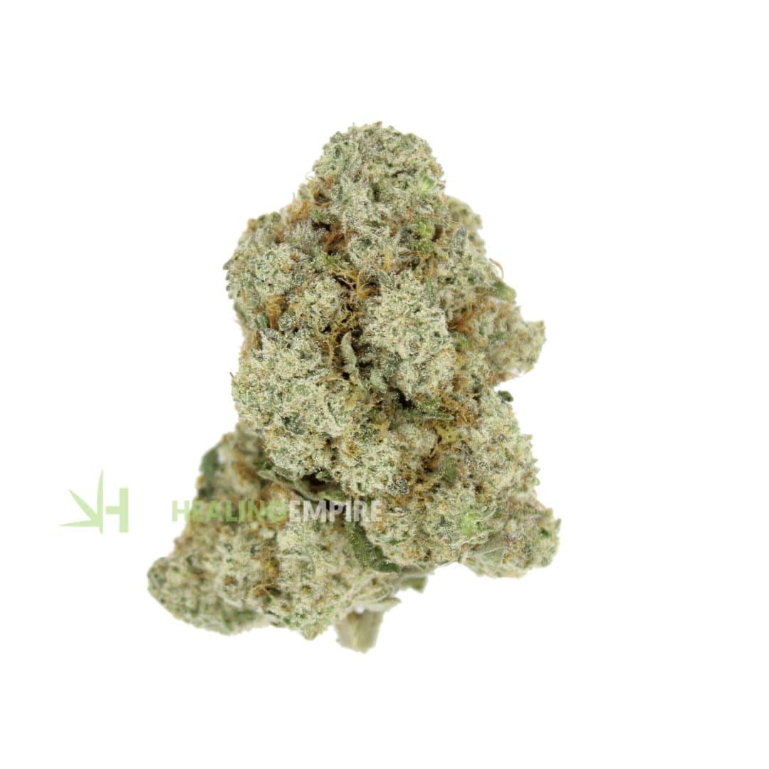 AAAA DONKEY BUTTER By KOOTENAY Exotics