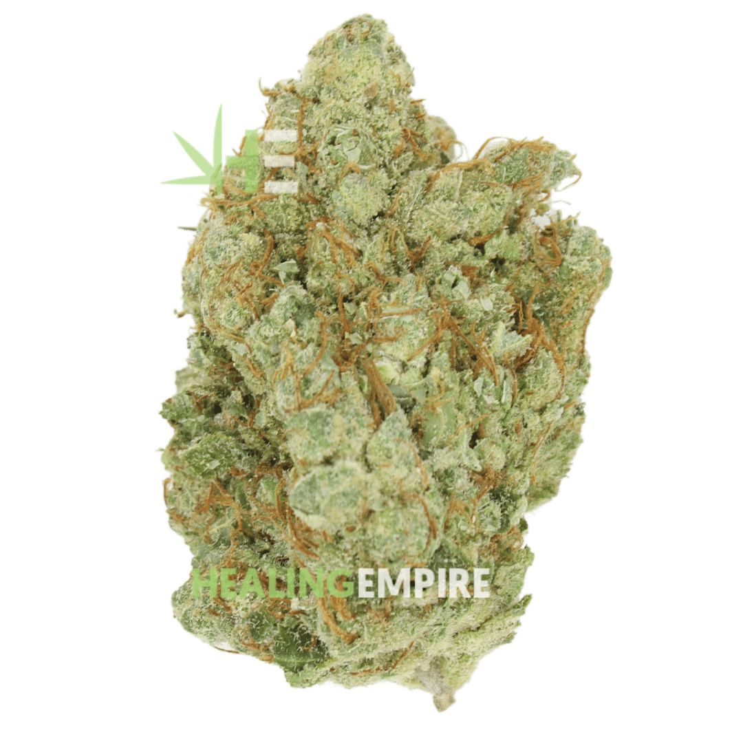 AAAA Oregon Golden Goat