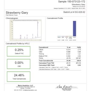 Alternative view of Strawberry Gary Payton - Sativa