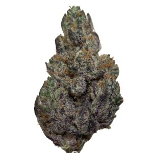 Alternative view of Honeycomb Pavé - Sativa