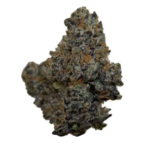 Alternative view of Biscotti Cream - Indica