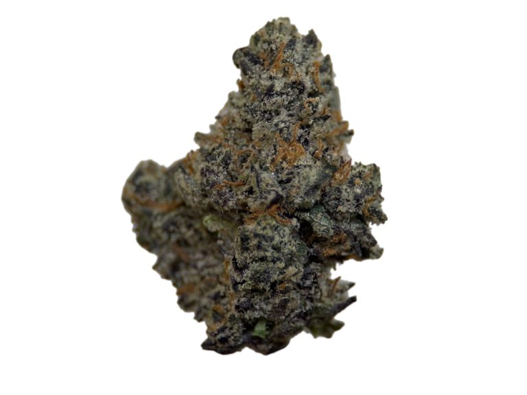 Biscotti Cream - Indica