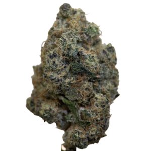 Alternative view of Zoap - Hybrid